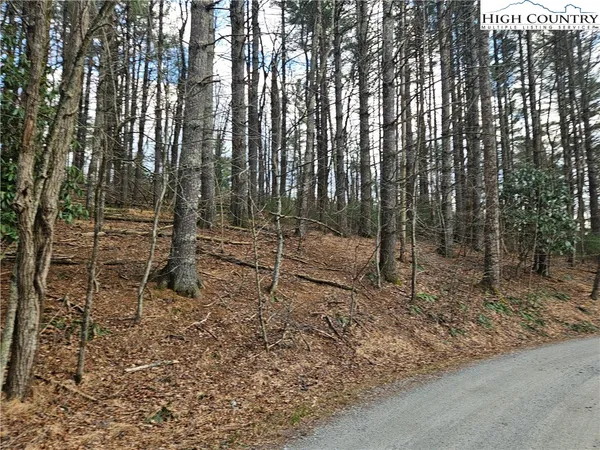 $90,000 | Panorama Drive, Todd, NC 28684