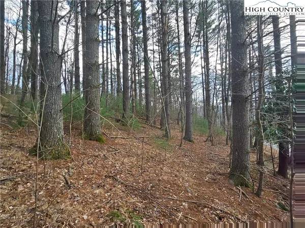 $90,000 | Panorama Drive, Todd, NC 28684