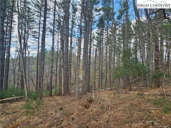 $90,000 | Panorama Drive, Todd, NC 28684