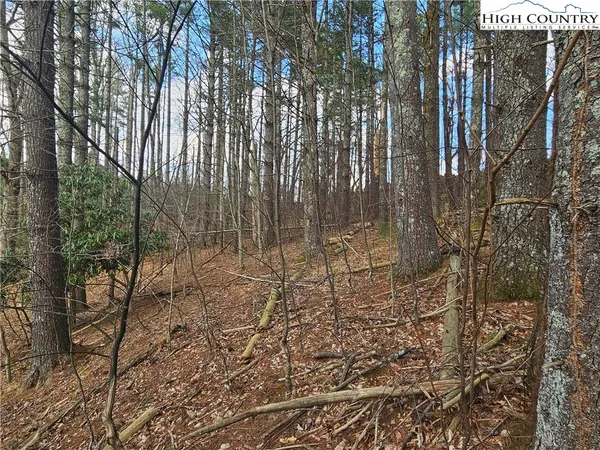 $90,000 | Panorama Drive, Todd, NC 28684