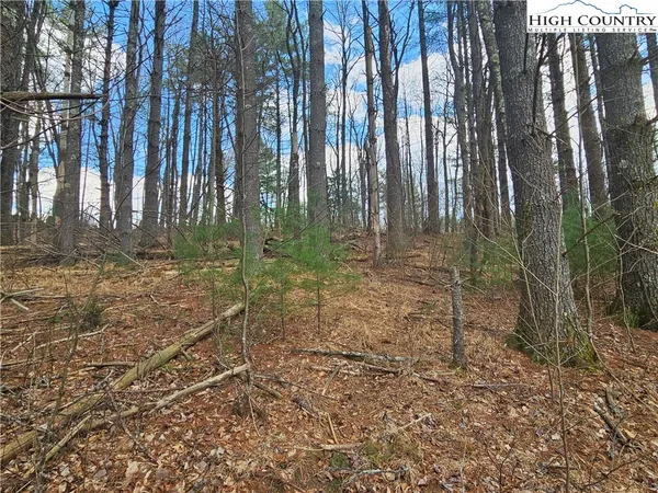 $90,000 | Panorama Drive, Todd, NC 28684