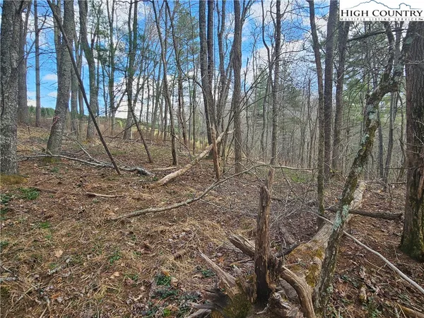 $90,000 | Panorama Drive, Todd, NC 28684