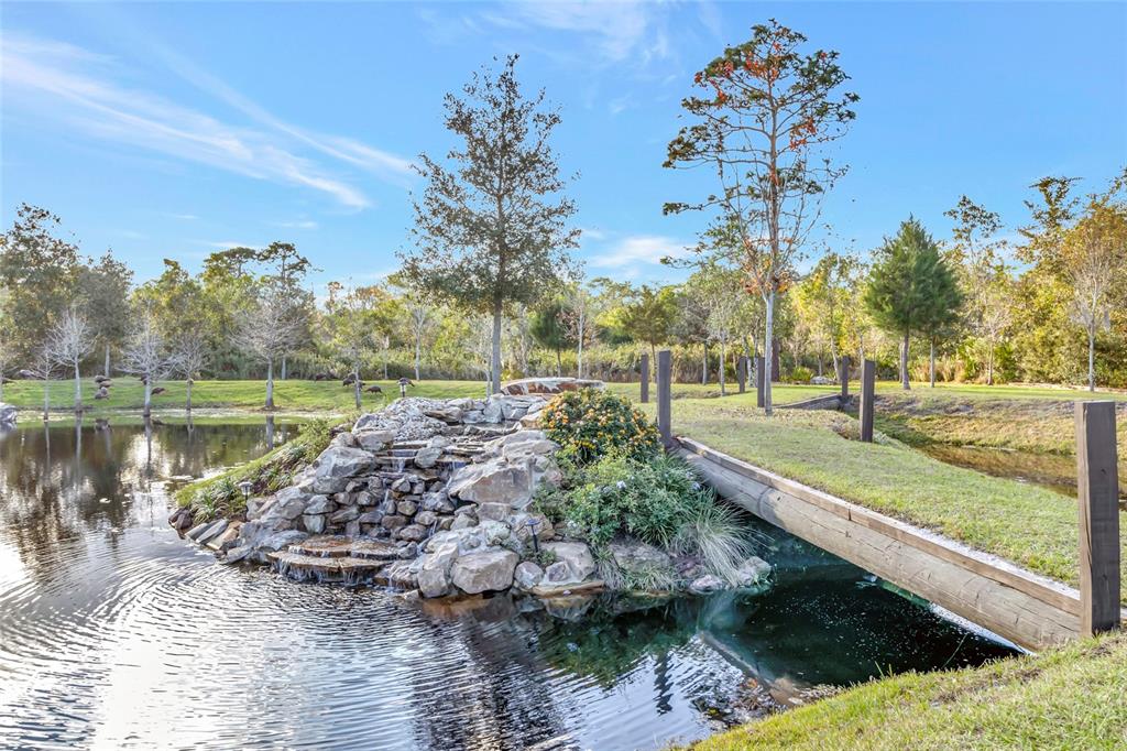 7330 Crabgrass Road St. Cloud, FL 34773 - Photo 3 of 60 a view of a garden with an outdoor space