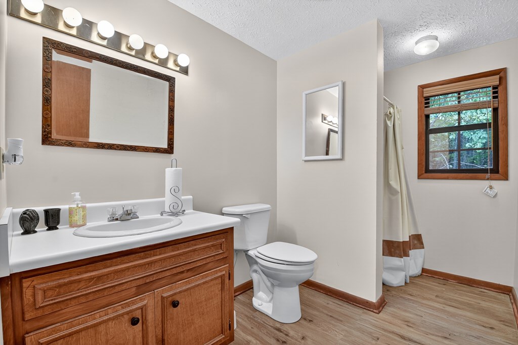 205 Spring Road Blairsville, GA 30512 - Photo 19 of 29 Gallery Image 19