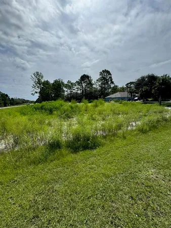 a view of a green field