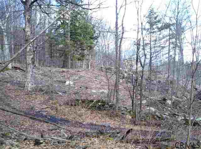 Riddle Road Salem, NY 12865 - Photo 1 of 7 Photo 1