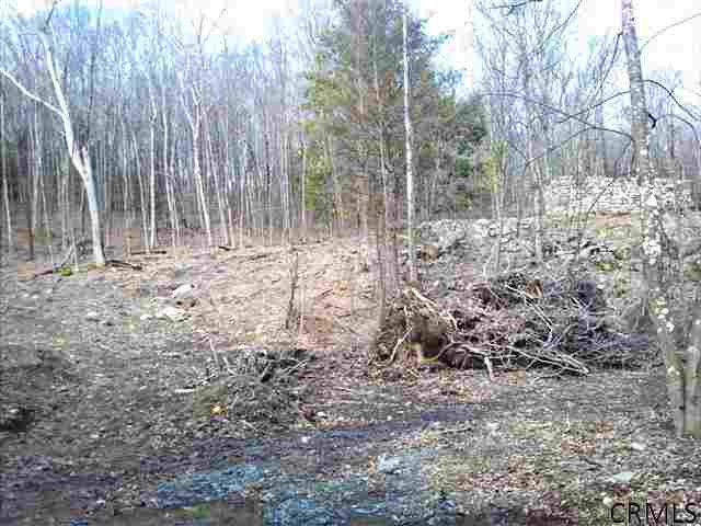 Riddle Road Salem, NY 12865 - Photo 4 of 7 Photo 4