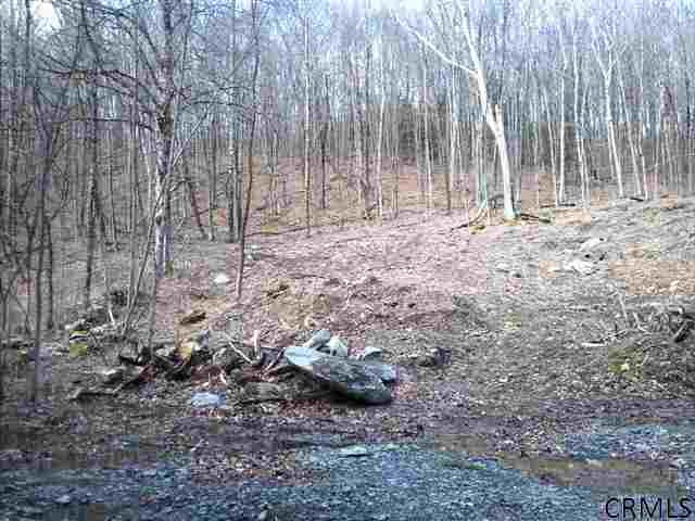 Riddle Road Salem, NY 12865 - Photo 5 of 7 Photo 5