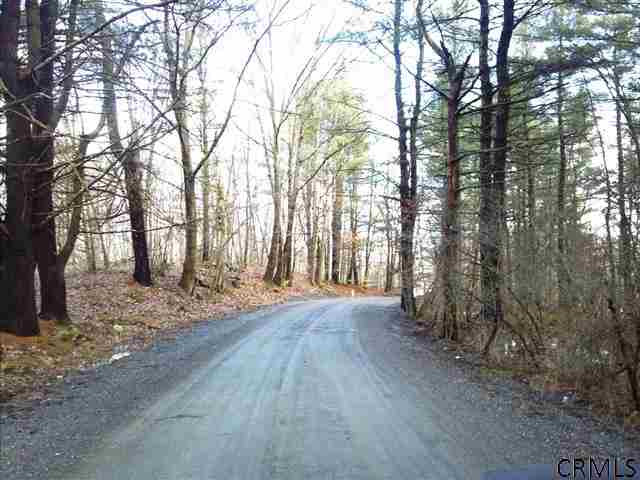 Riddle Road Salem, NY 12865 - Photo 7 of 7 Photo 7