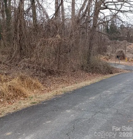 a view of a dry yard with trees