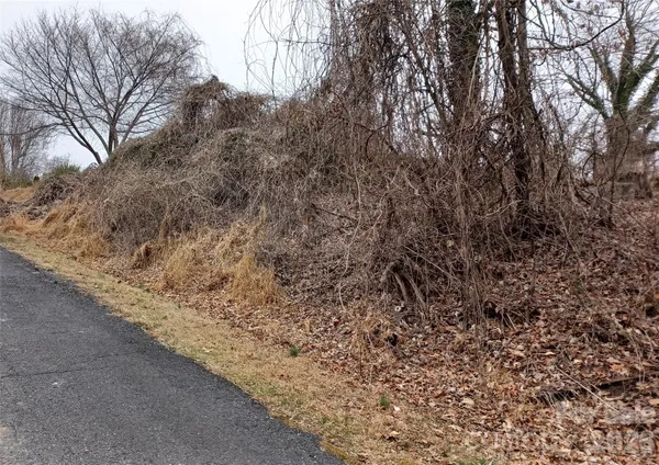 a view of a yard with a trees