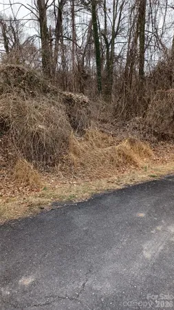 a view of dirt field with trees in the background