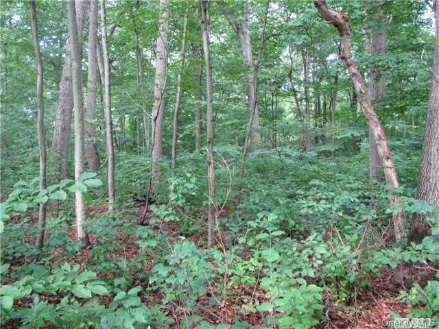 522 Long Beach Road Nissequogue, NY 11780 - Photo 1 of 1 a view of a forest that has lots of trees