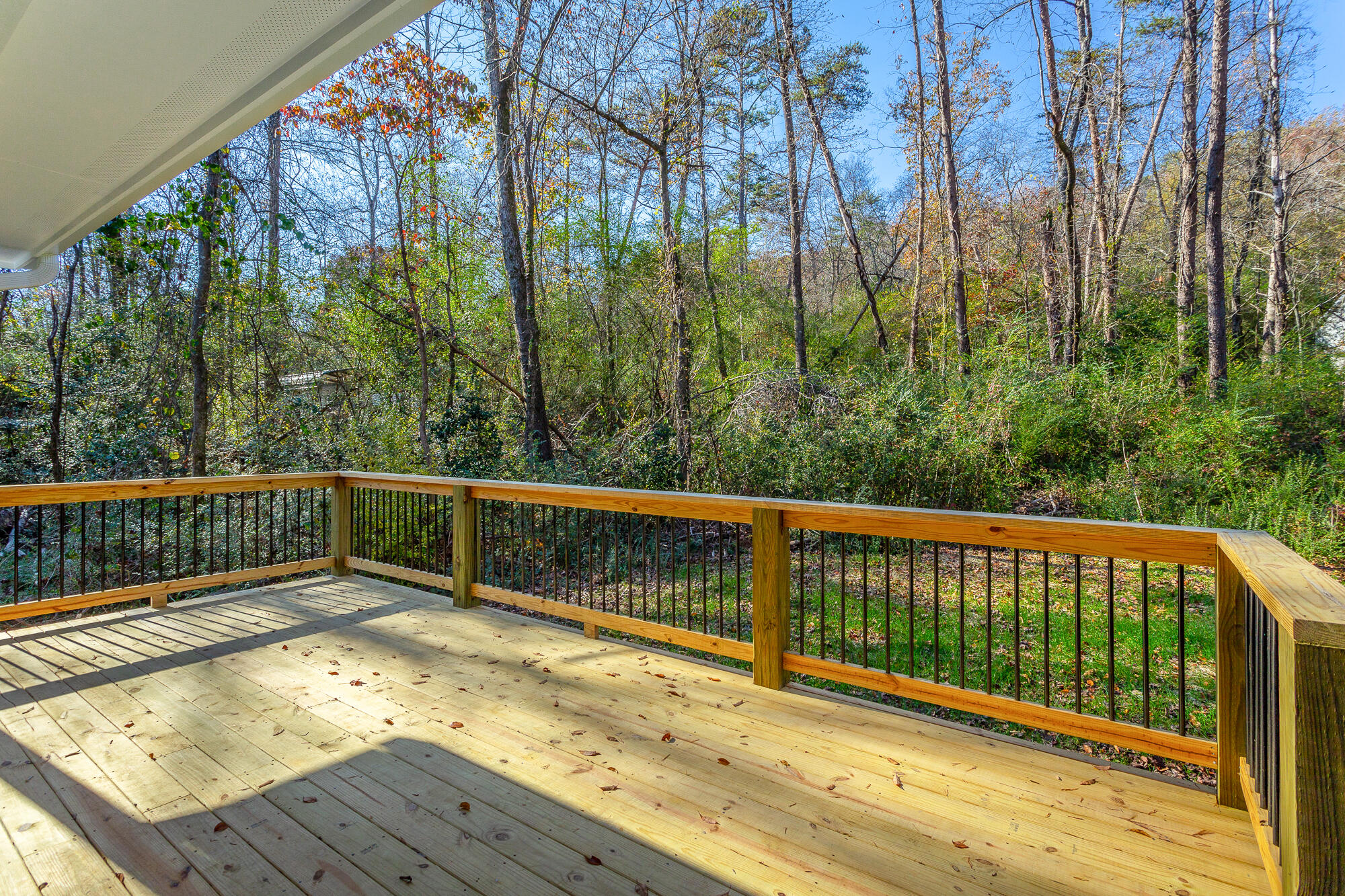 1151 Lullwater Road Chattanooga, TN 37405 - Photo 38 of 46 Back deck