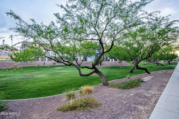 a huge green field with lots of trees