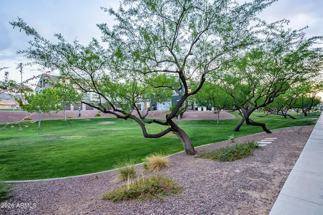 a huge green field with lots of trees