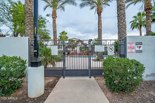 a view of a garden with a palm tree