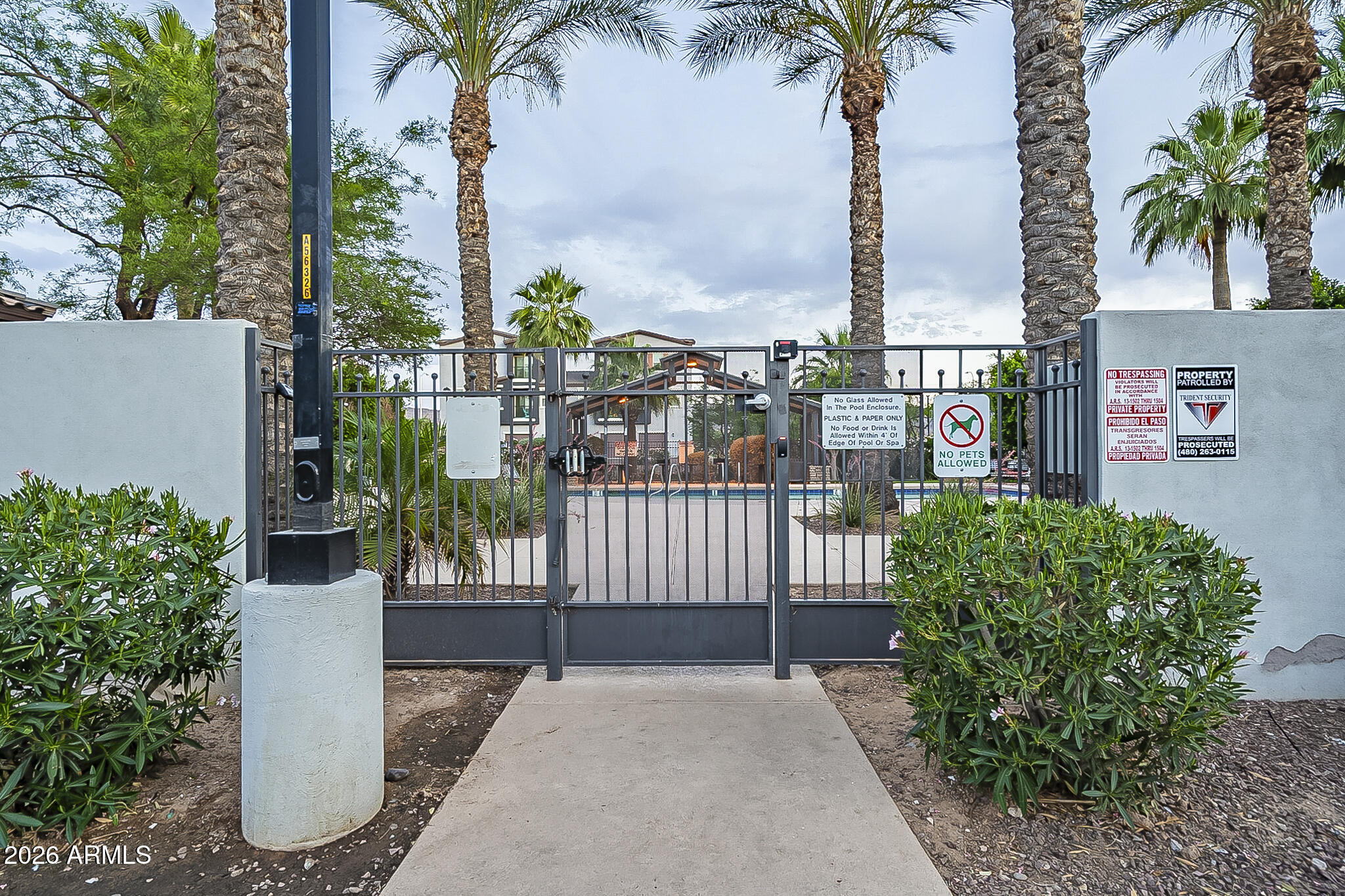 5851 South 23rd Way Phoenix, AZ 85040 - Photo 19 of 24 a view of a garden with a palm tree