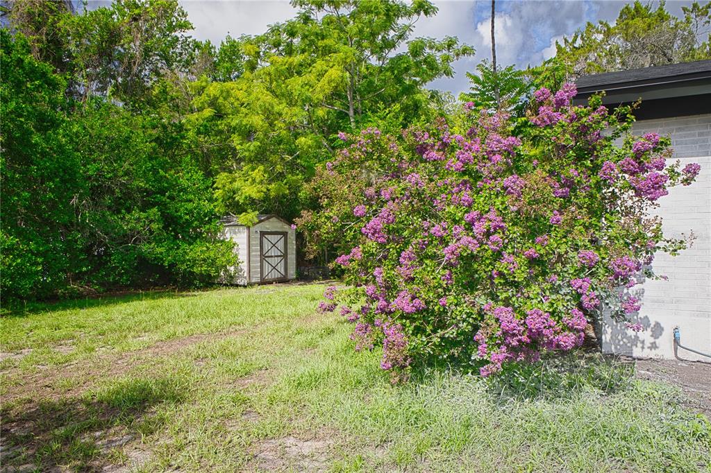 102 Amigos Road DeBary, FL 32713 - Photo 33 of 45