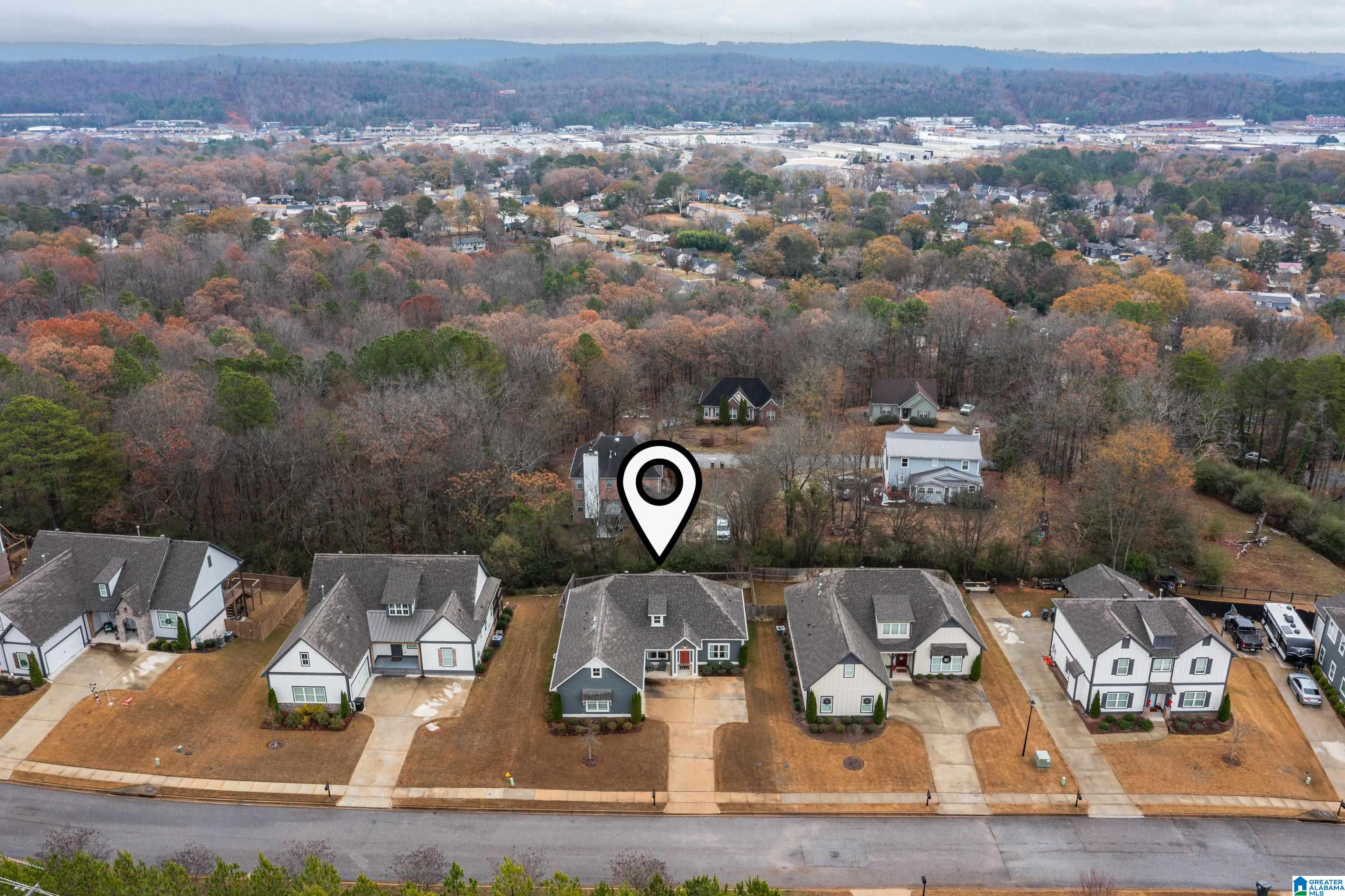 4026 Camellia Ridge Cove Pelham, AL 35124 - Photo 3 of 56