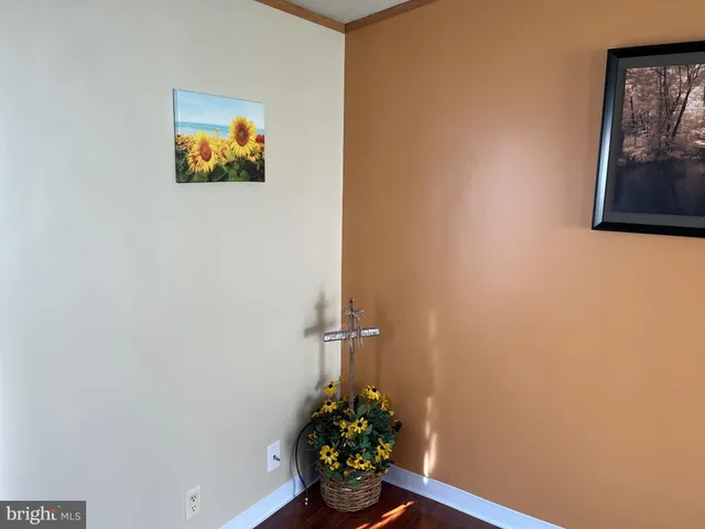 a wall painting on the wall with a potted plant