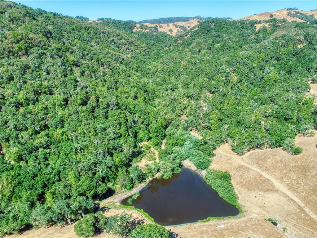 9600 Dover Canyon Road Templeton, CA 93465 - Photo 1 of 1 Gallery Image 1