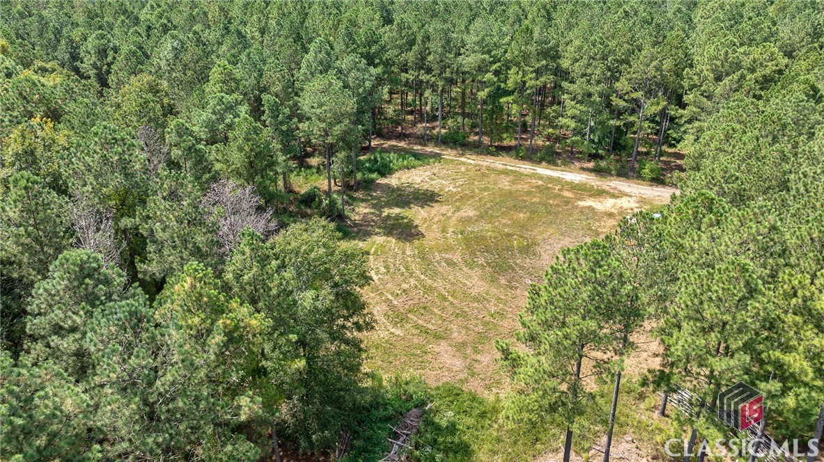 0 Paradise Hogan Road Lexington, GA 30648 - Photo 5 of 38