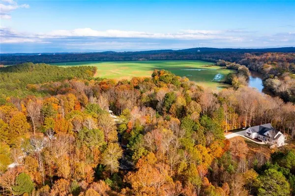 a view of a lot of trees and houses