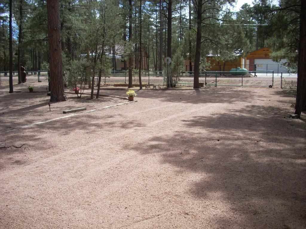 2923 Markham Road Overgaard, AZ 85933 - Photo 21 of 33 a view of park with trees
