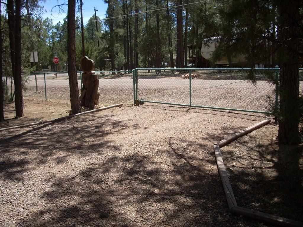 2923 Markham Road Overgaard, AZ 85933 - Photo 32 of 33