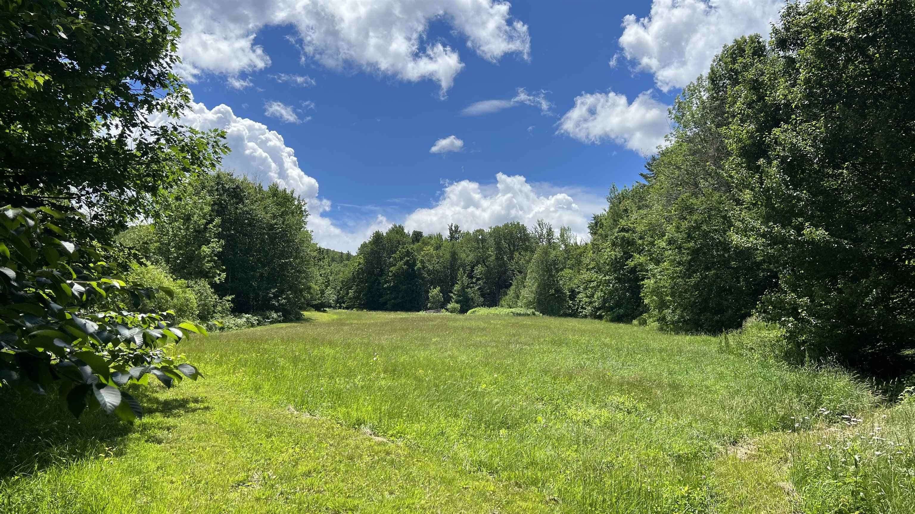 412 Hall Ranch Road Grafton, VT 05146 - Photo 40 of 48