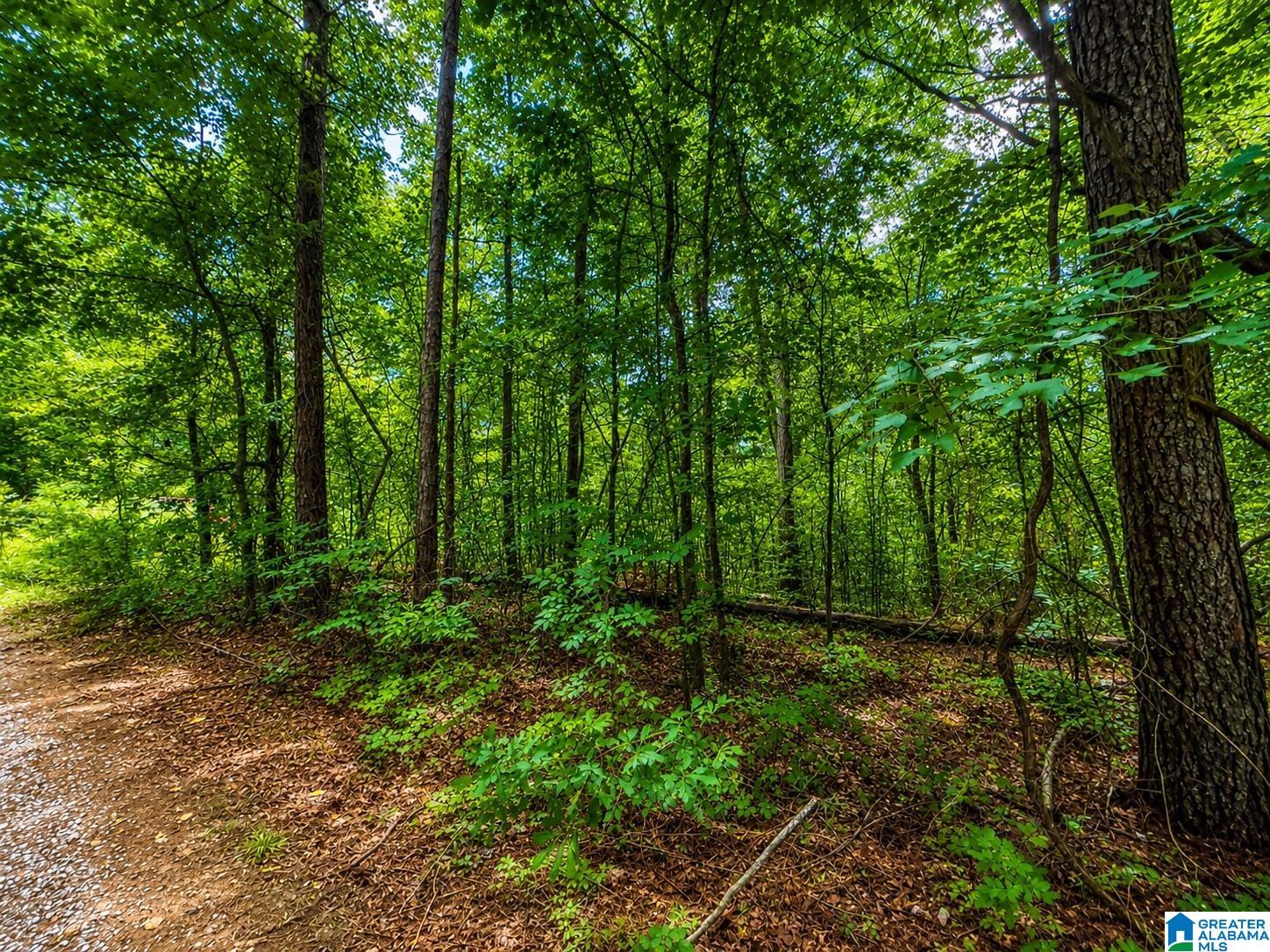 0 Creek Road, Unit X Hayden, AL 35079 - Photo 14 of 15 Gallery Image 14