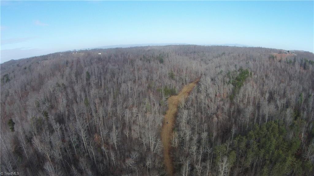 0 Zeb Mabe Road Danbury, NC 27016 - Photo 14 of 30 Gallery Image 14