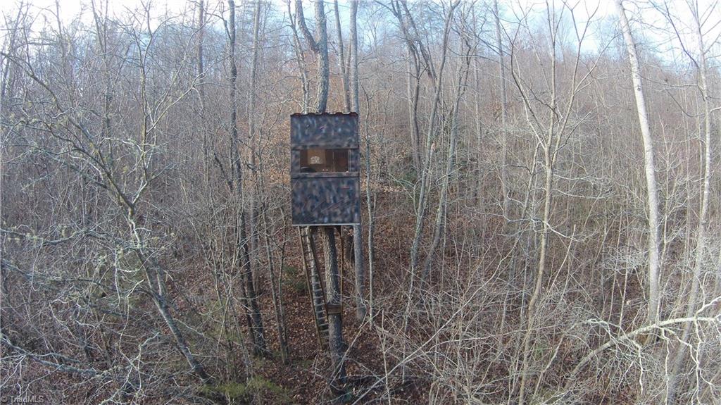 0 Zeb Mabe Road Danbury, NC 27016 - Photo 3 of 30 Gallery Image 3