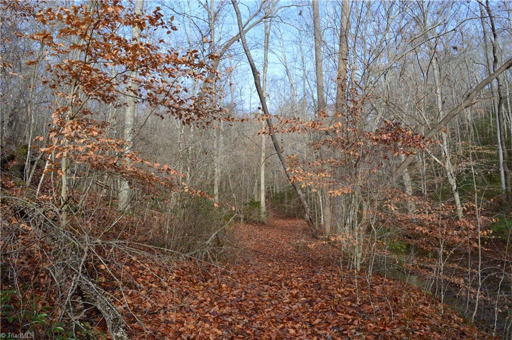 0 Zeb Mabe Road Danbury, NC 27016 - Photo 22 of 30 Gallery Image 22