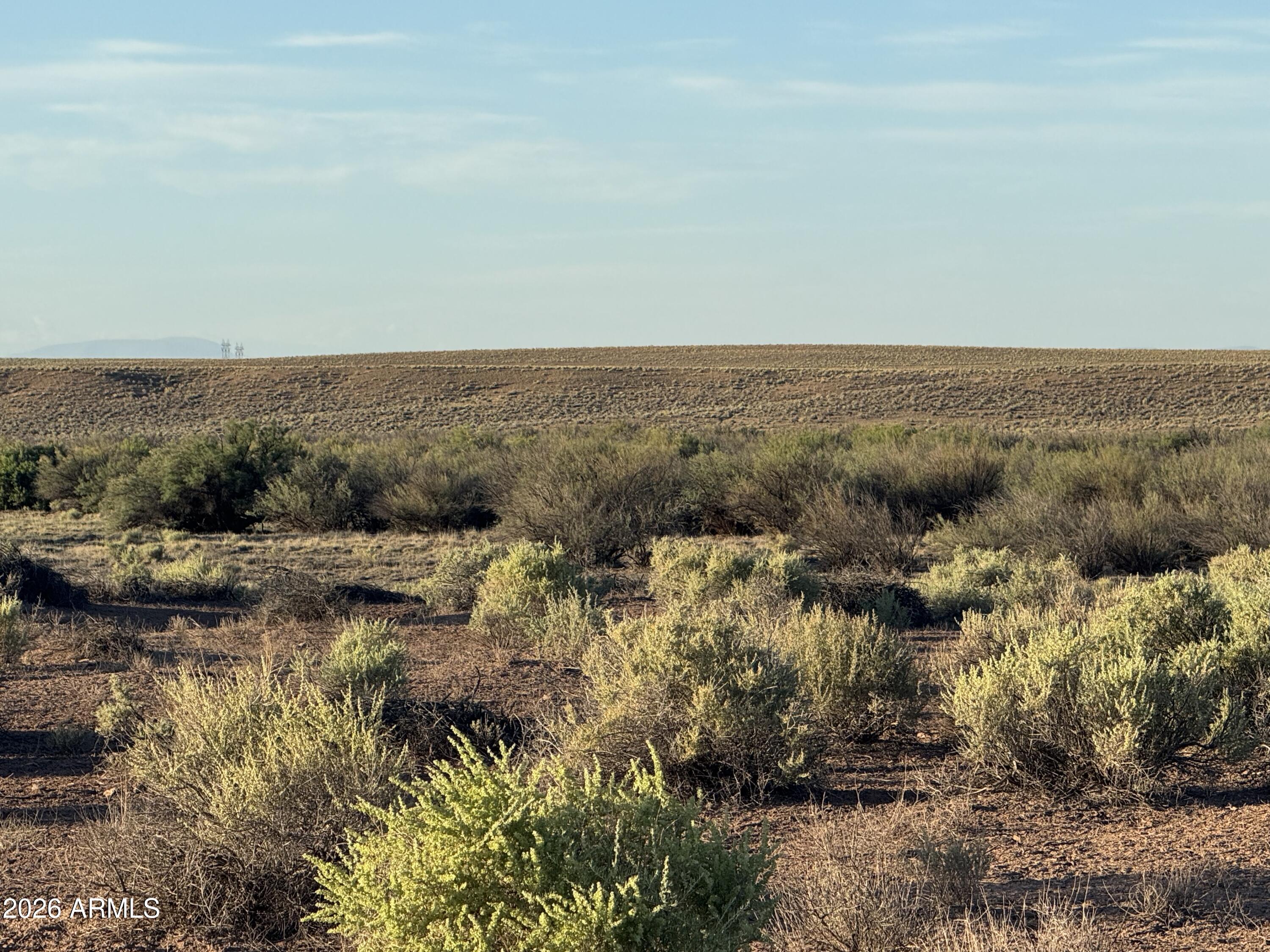 Lot 445 Carrizo Ranch, Unit 445 St. Johns, AZ 85936 - Photo 9 of 17 IMG_1879