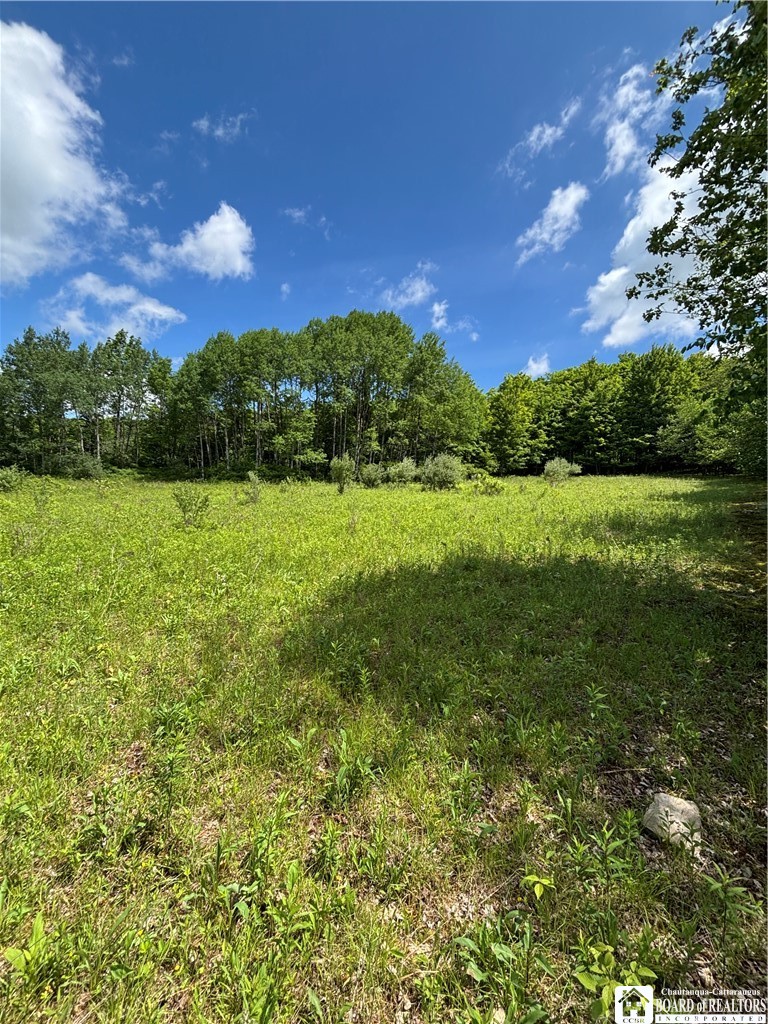 1471 Loomis Road Rexville, NY 14877 - Photo 44 of 50