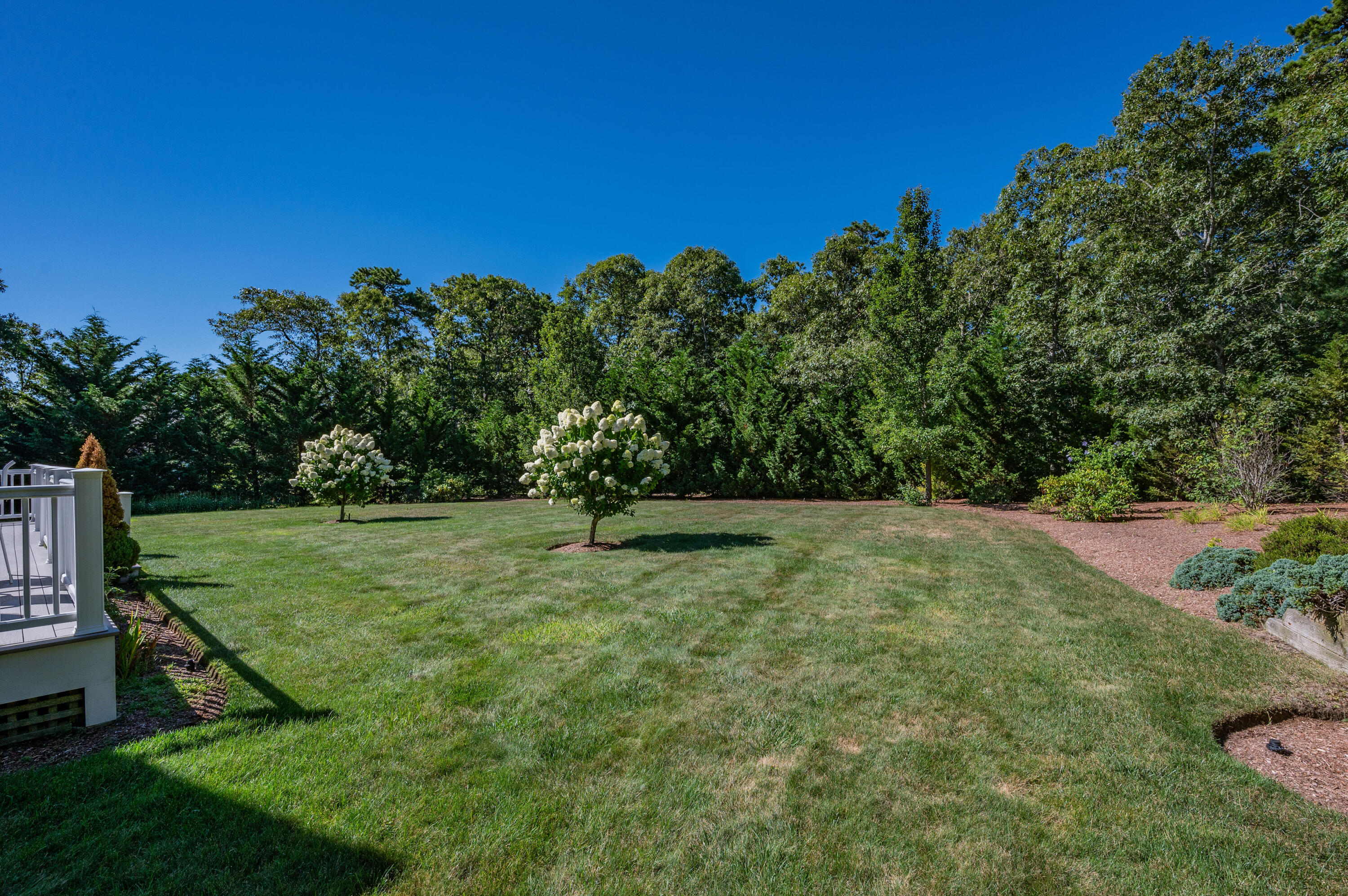 4 Oyster Pond Road Harwich, MA 02645 - Photo 42 of 44 IMG_9876