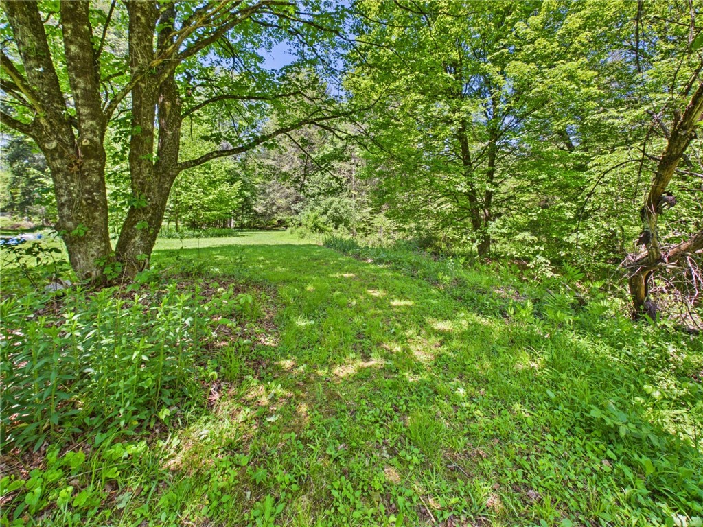 343 Christian Hollow Road Smethport, PA 16749 - Photo 2 of 50