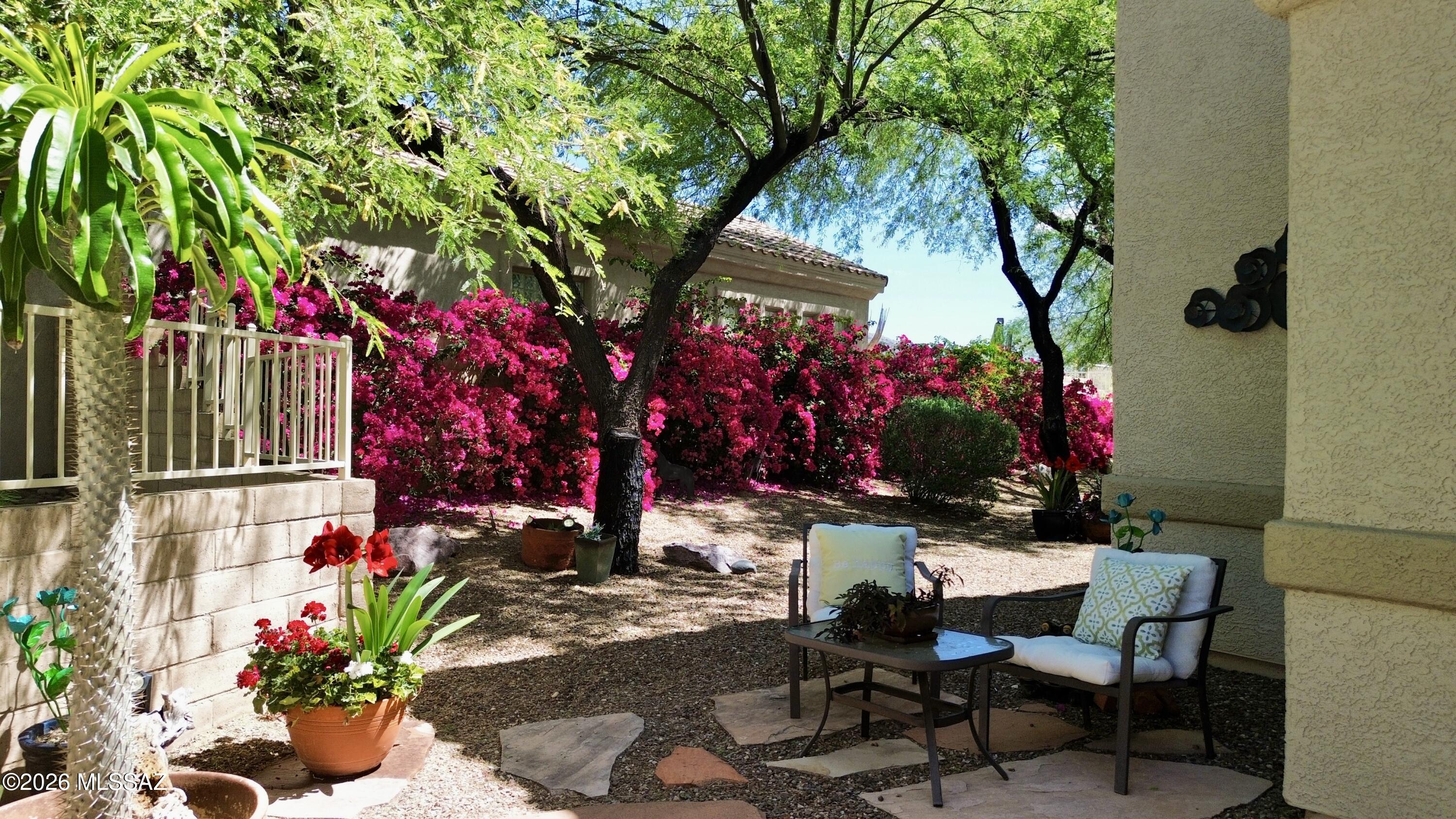 5202 Spring View Drive Tucson, AZ 85749 - Photo 7 of 49 a view of a chairs and table in a backyard