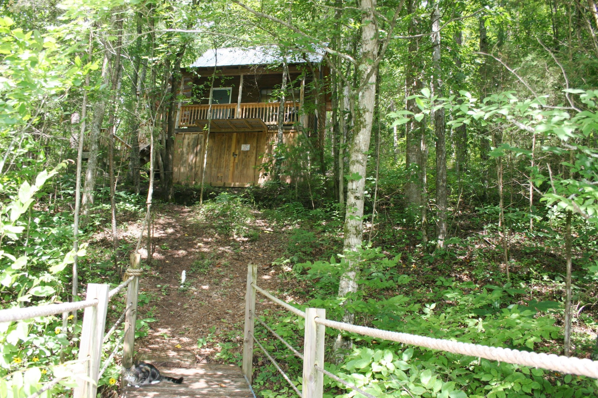 330 Boiling Springs Road Vonore, TN 37885 - Photo 20 of 27 Gallery Image 20
