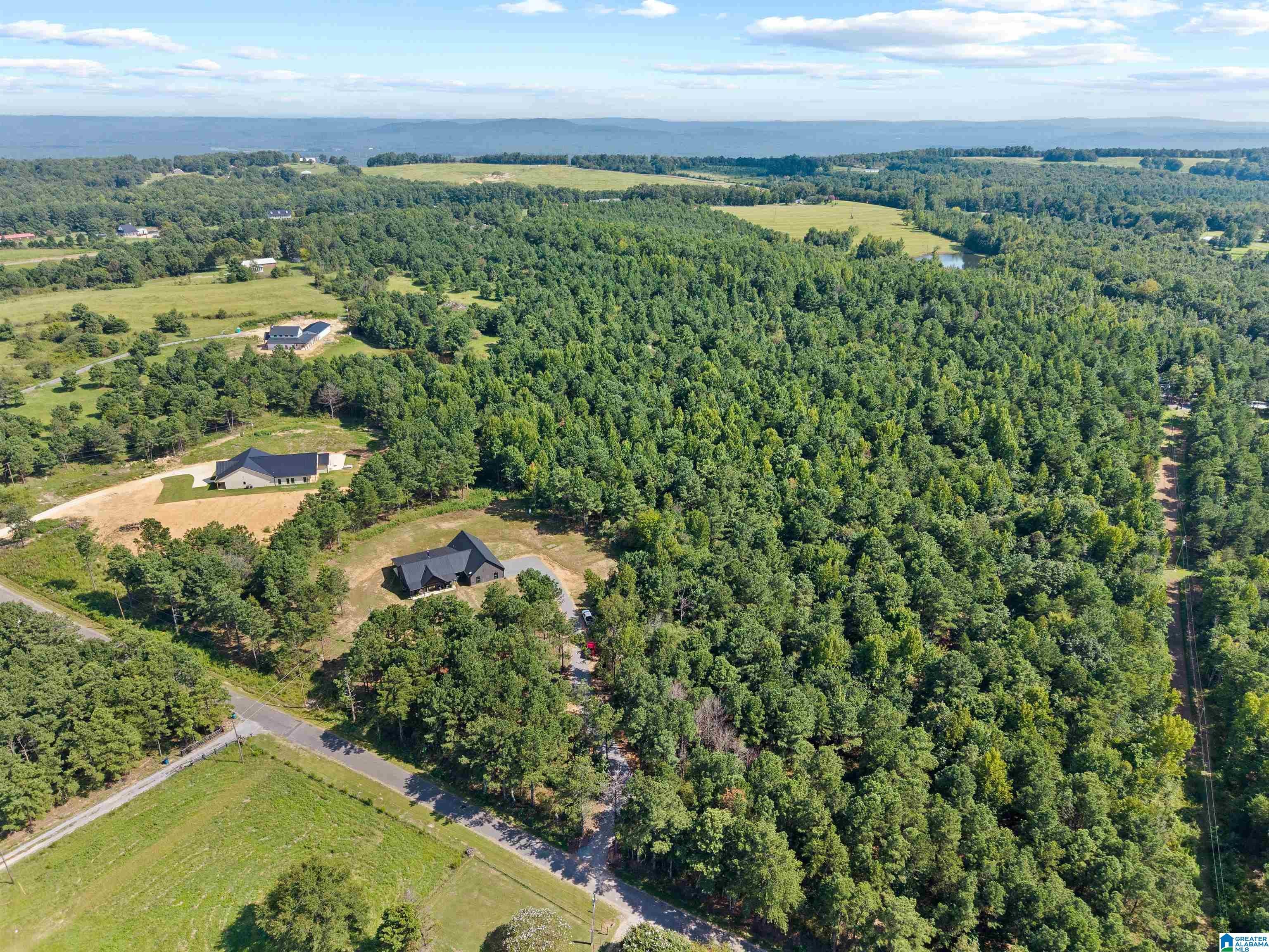 508 Jones Chapel Loop Springville, AL 35146 - Photo 52 of 54 Gallery Image 52