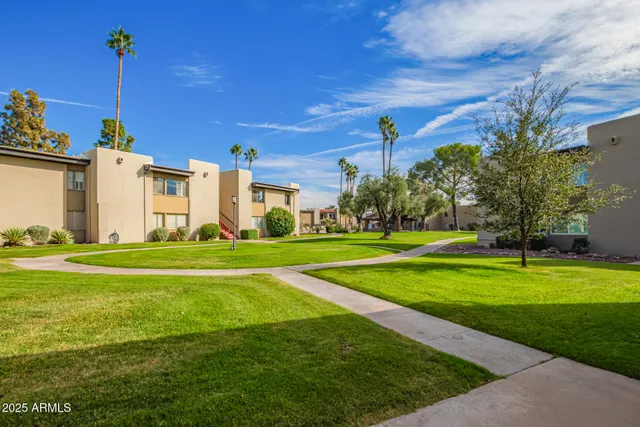 a view of a house with a big yard and a large tree