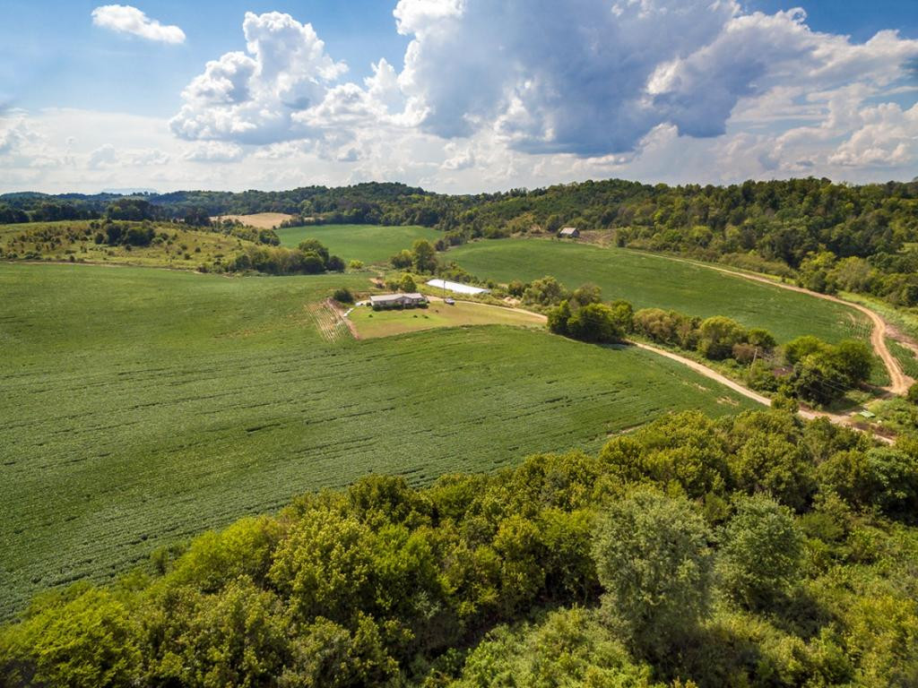00 Poplar Springs Road Greeneville, TN 37743 - Photo 11 of 12 Photo 18