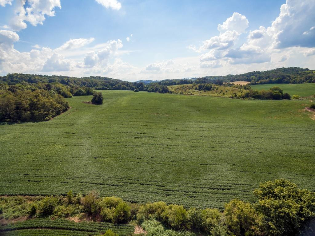 00 Poplar Springs Road Greeneville, TN 37743 - Photo 7 of 12 Photo 11