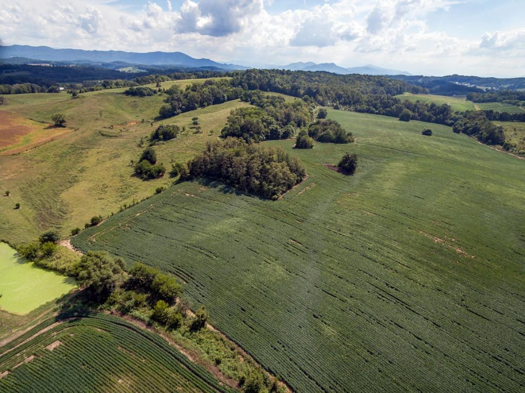 00 Poplar Springs Road Greeneville, TN 37743 - Photo 8 of 12 Photo 13