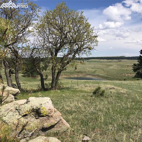 Tbd Jones Road Larkspur, CO 80118 - Photo 2 of 7 Gallery Image 2