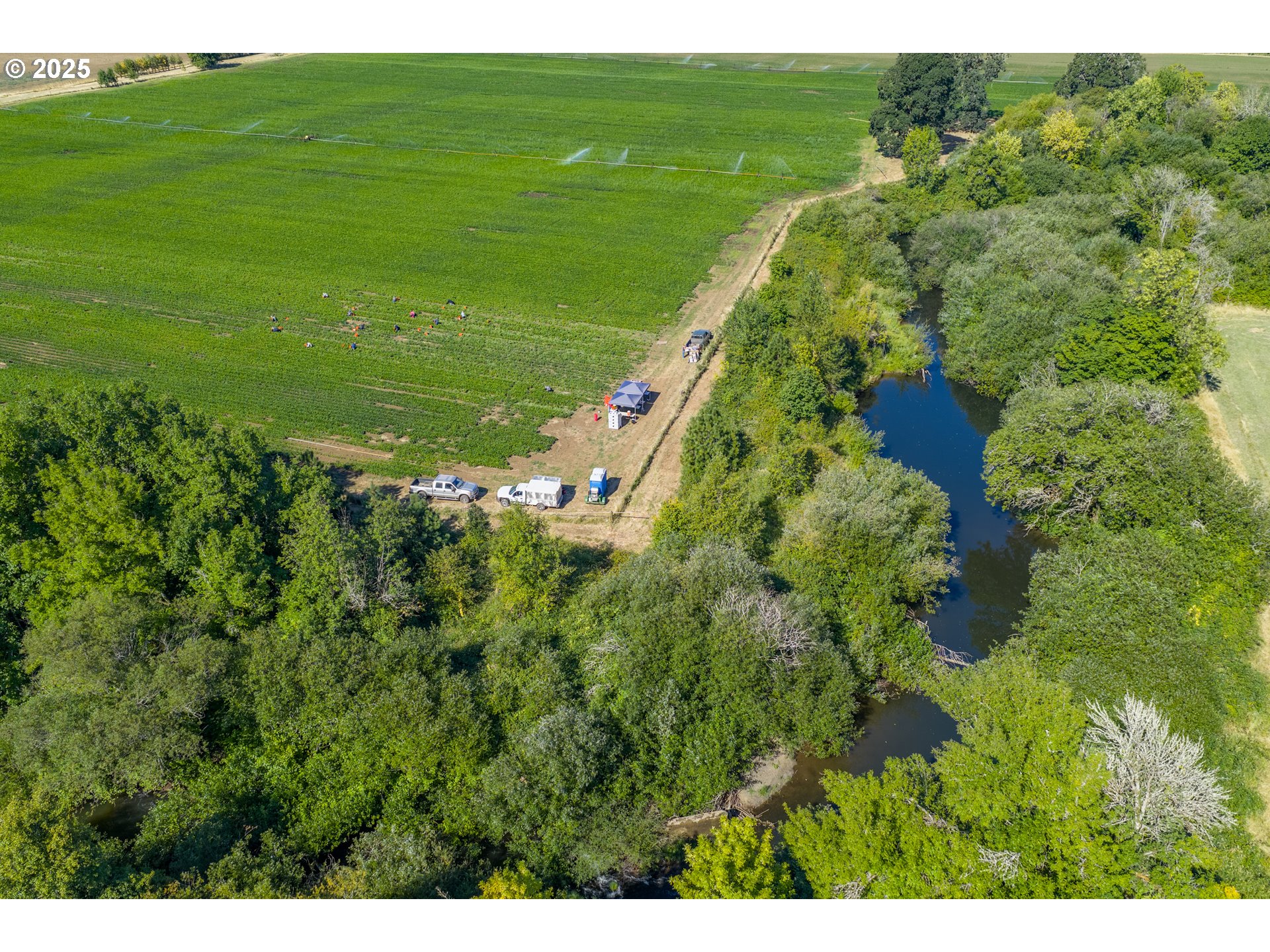 0 Fern Road Philomath, OR 97370 - Photo 11 of 40 Gallery Image 11