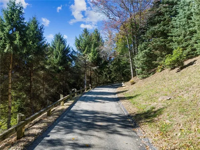 a view of a yard with large trees