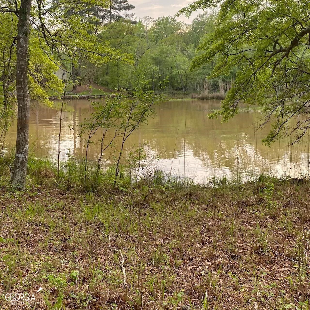 466 Twin Bridges Road Southwest Eatonton, GA 31024 - Photo 1 of 1 Gallery Image 1